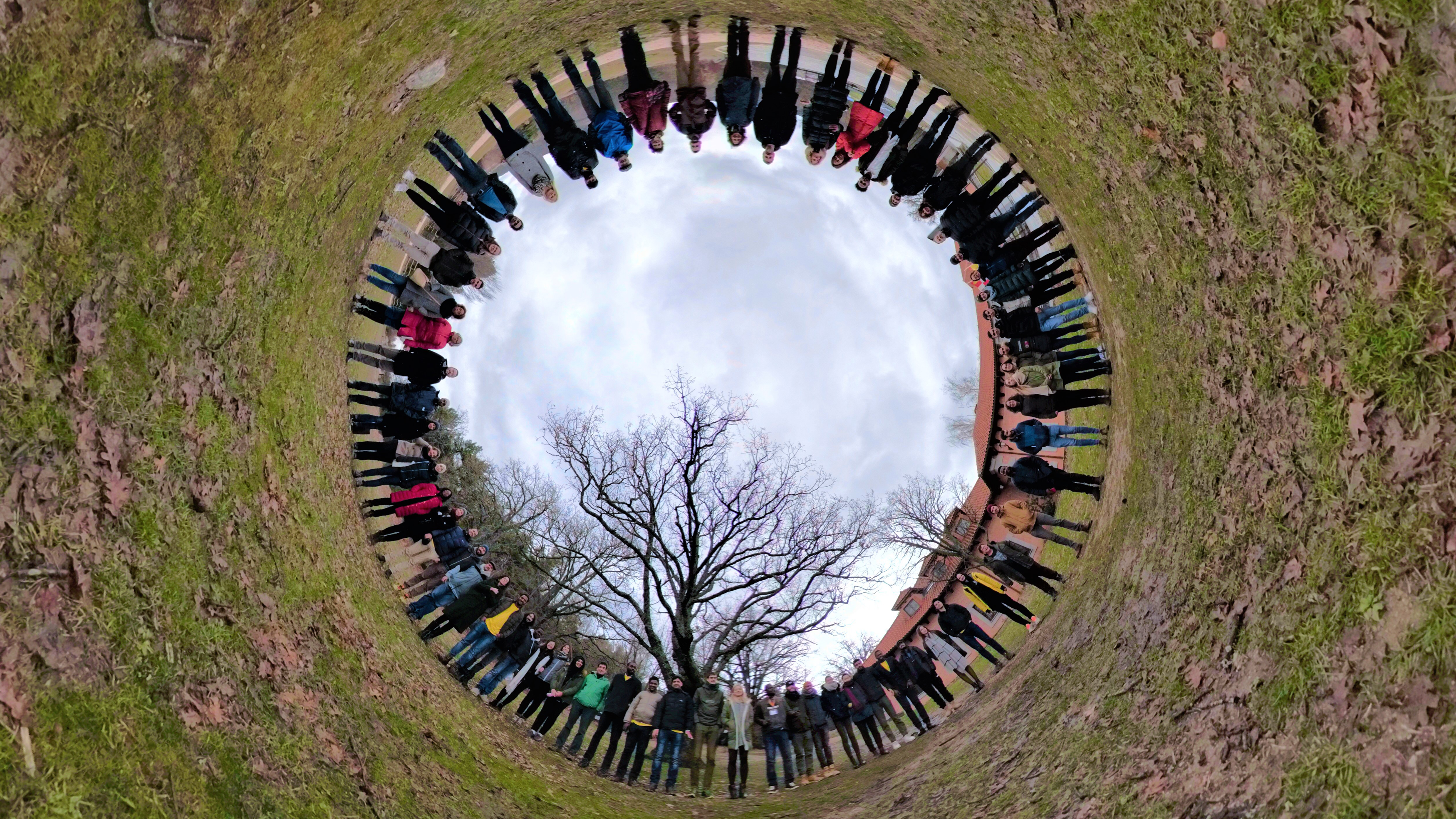 circulo forester