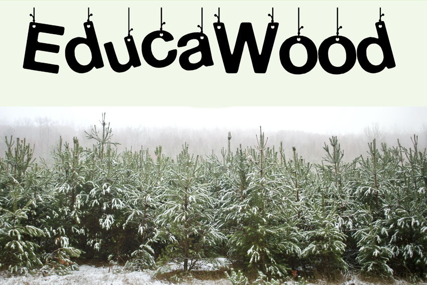 educawood