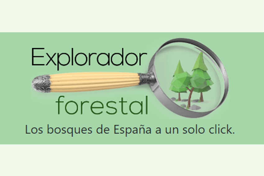 forest explorer