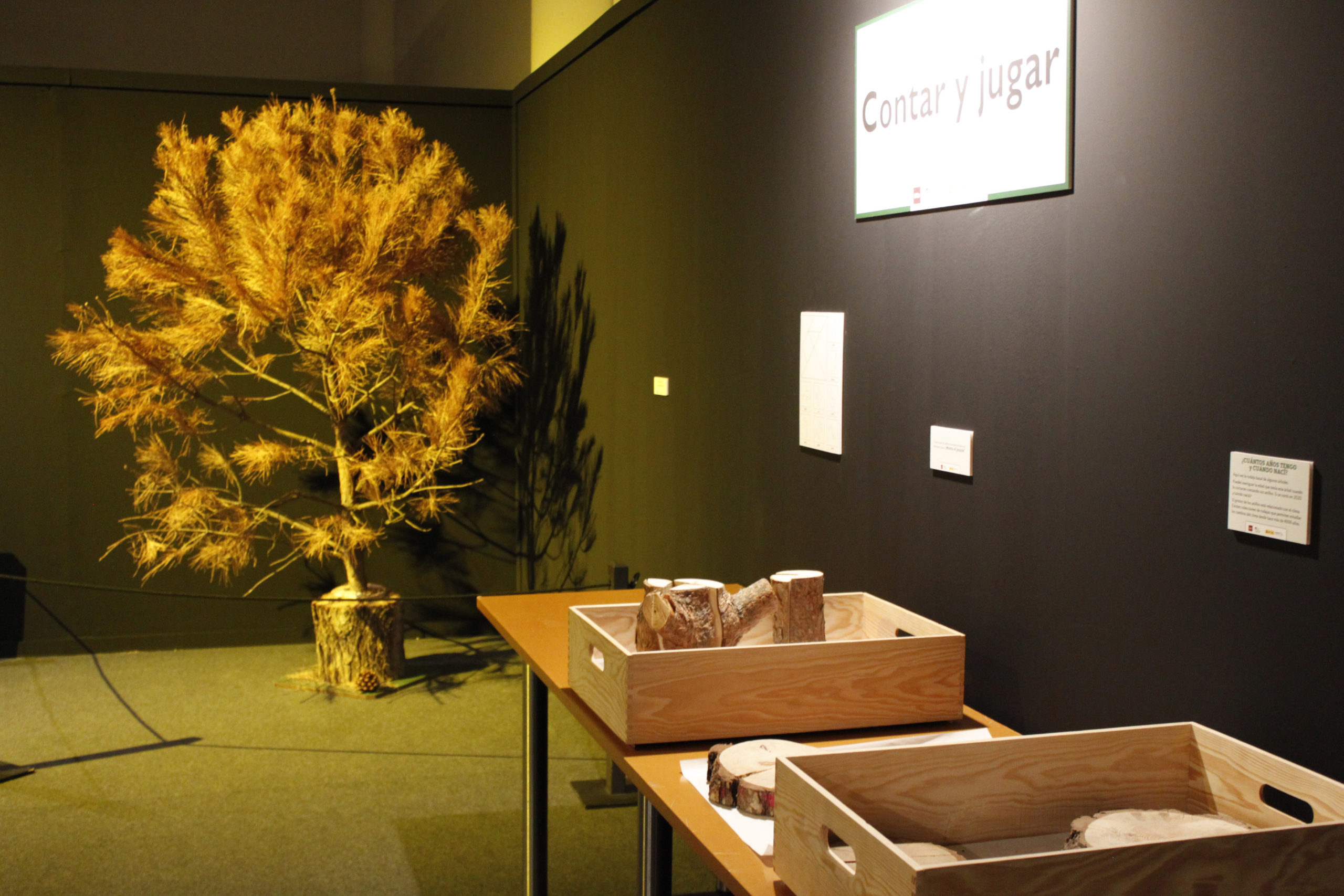 bosques2-scaled